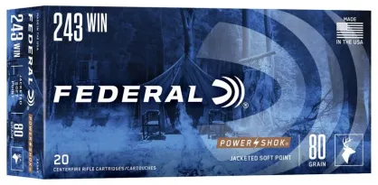 Amunicja Federal SP 5,2g/80gr, kal. 243Win