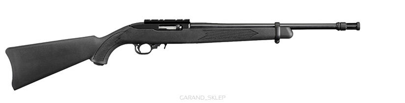 Ruger 1261 10/22-FS - 22lr